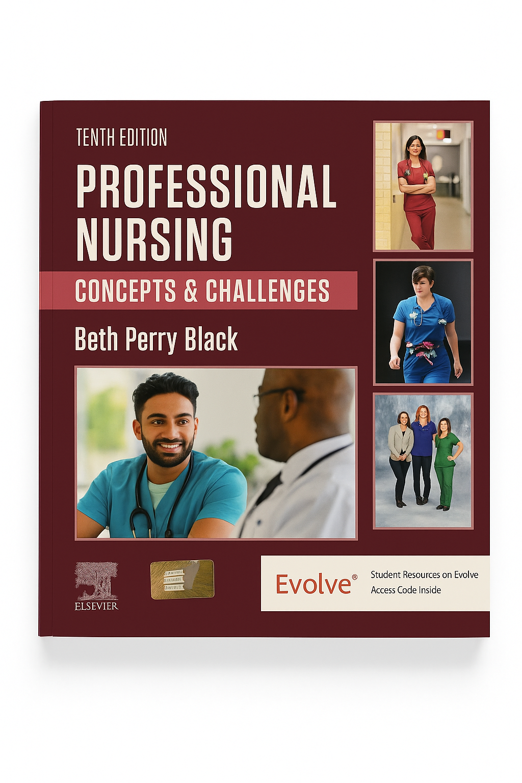 Professional Nursing Concepts and challenges textbook